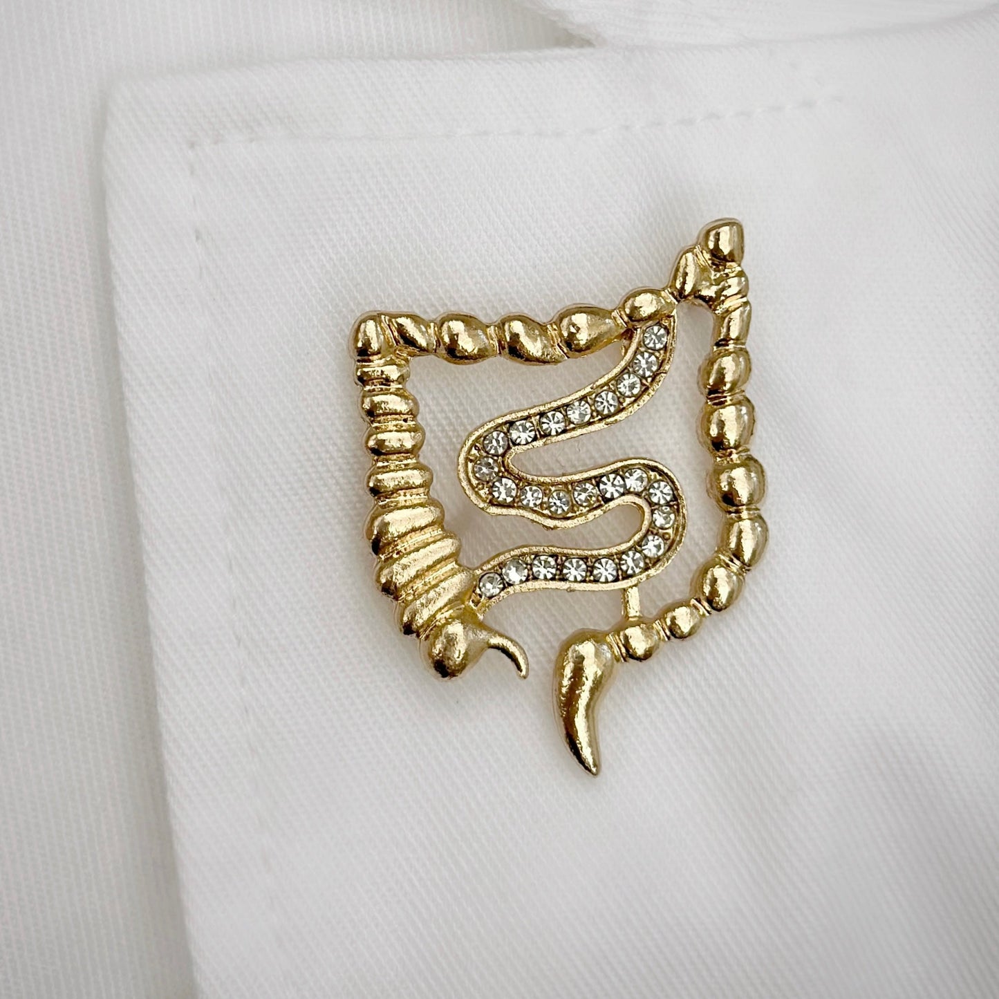 Colon White Coat Pin, Colorectal Surgeon Gift, Gastroenterology Doctor Gift, Nurse Practitioner Pin, Resident Graduation Gift, Medical Lapel Pin