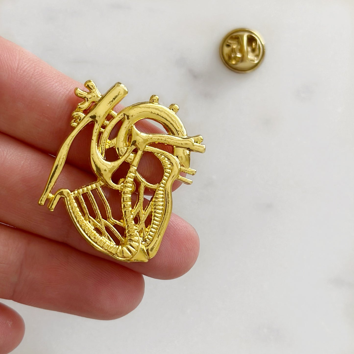 Anatomical Heart White Coat Pin – Cardiology Gift for Cardiologists, Heart Doctor Appreciation, Medical Student Match Day or Graduation Gift