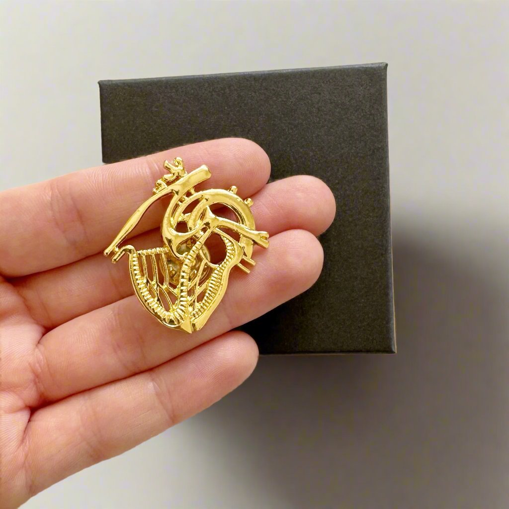 Anatomical Heart White Coat Pin – Cardiology Gift for Cardiologists, Heart Doctor Appreciation, Medical Student Match Day or Graduation Gift