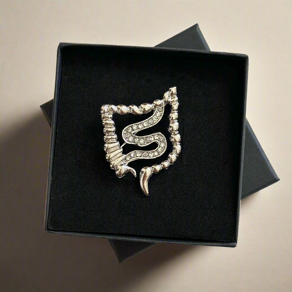 Colon White Coat Pin, Colorectal Surgeon Gift, Gastroenterology Doctor Gift, Nurse Practitioner Pin, Resident Graduation Gift, Medical Lapel Pin