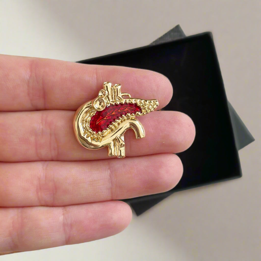 Pancreas White Coat Pin, Endocrine Gift for Doctors, Pancreatic Surgery Surgeon Gift, Endocrinologist Appreciation Pin, Medical Doctor Gift Idea