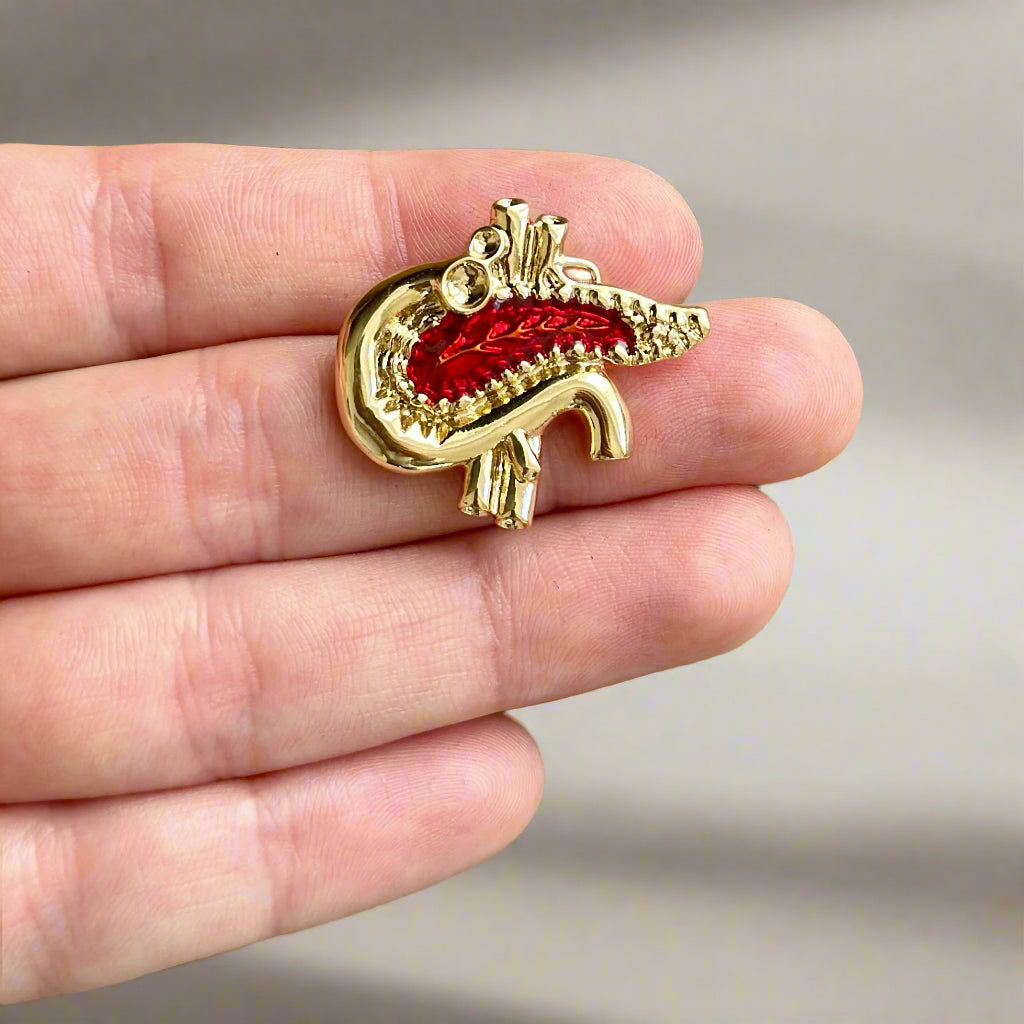 Pancreas White Coat Pin, Endocrine Gift for Doctors, Pancreatic Surgery Surgeon Gift, Endocrinologist Appreciation Pin, Medical Doctor Gift Idea
