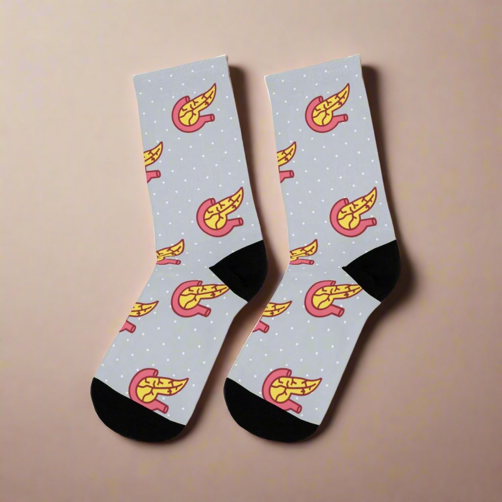 Pancreas socks, endocrinology socks, medical student, nurse, PA, Nurse Practitioner, anatomy socks, surgeon gift, endocrine