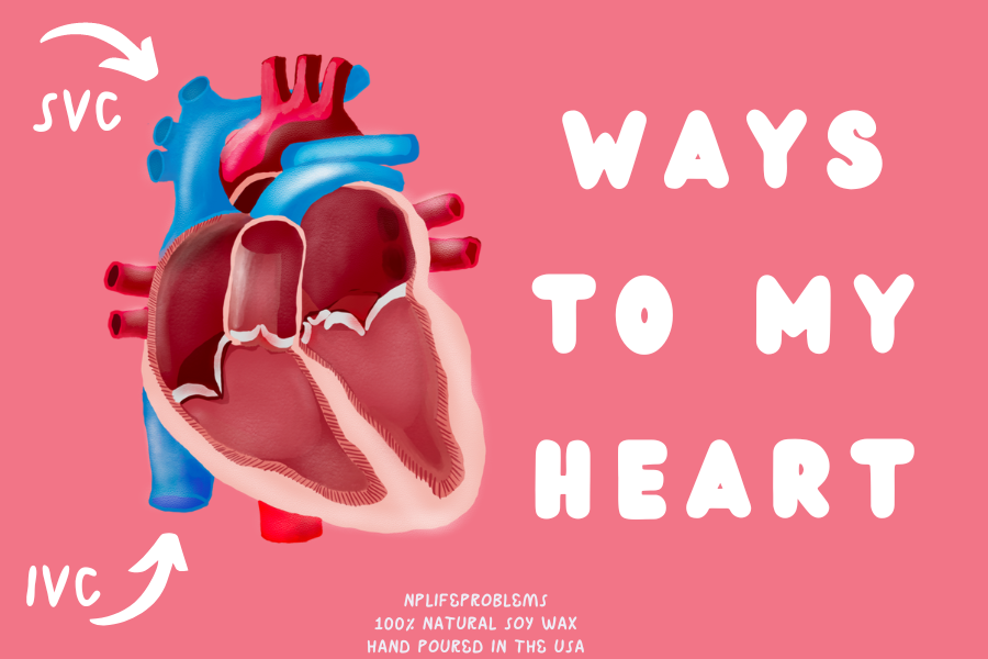 Cardiology Valentine’s Gift, Funny Heart-Themed Gift for Cardiologists, Medical Humor Anniversary Gift, Cardiac Nurse Mug, Anatomy Humor for Doctors and NPs