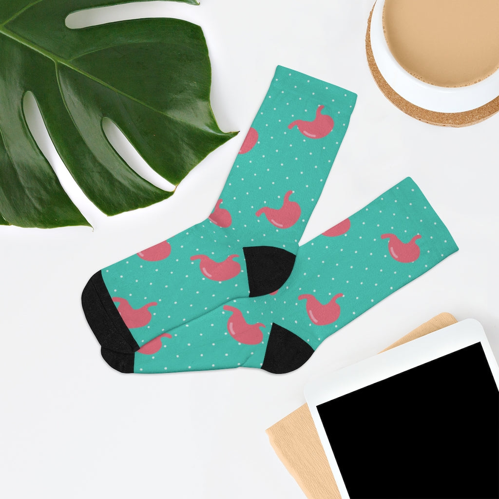 Stomach socks, GI socks, medical student, nurse, PA, Nurse Practitioner, anatomy socks, surgeon gift, gastrointestinal
