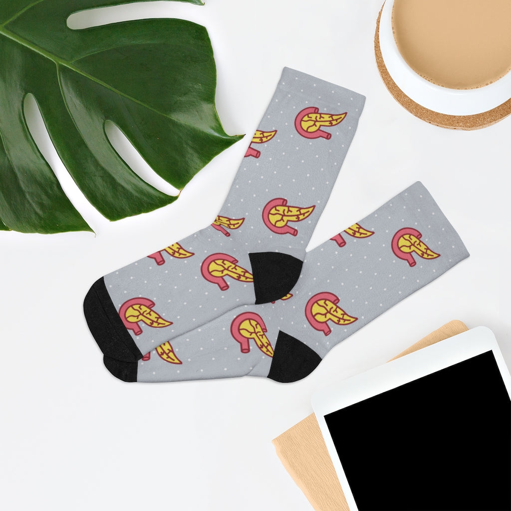 Pancreas socks, endocrinology socks, medical student, nurse, PA, Nurse Practitioner, anatomy socks, surgeon gift, endocrine