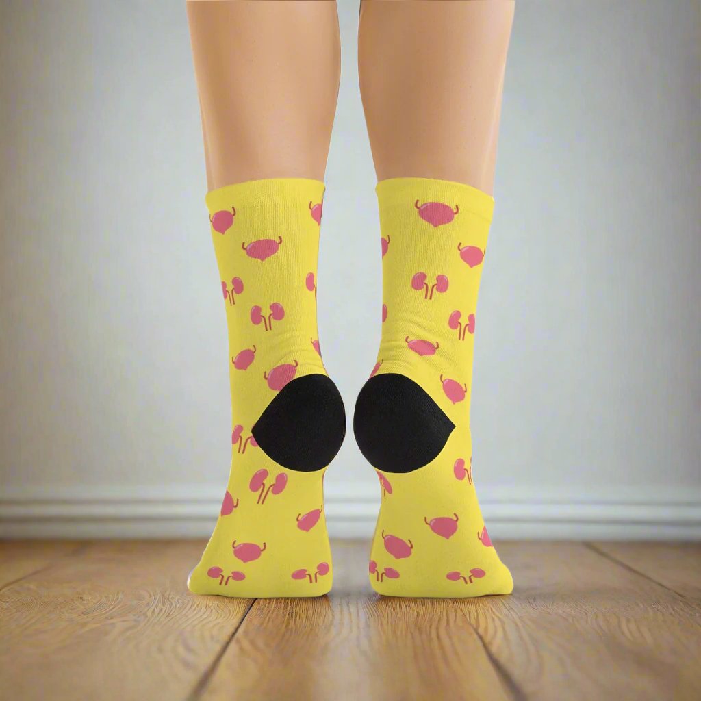 Urology Kidney and Bladder socks, urologist, urology resident, urology nurse gift.