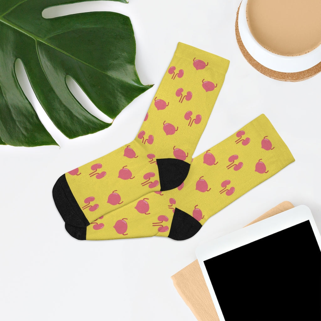 Urology Kidney and Bladder socks, urologist, urology resident, urology nurse gift.