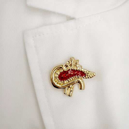 pancreas white coat pin, endocrine gift, endocrinologist, doctor gift, pancreatic surgery, surgeon gift, doctor gift